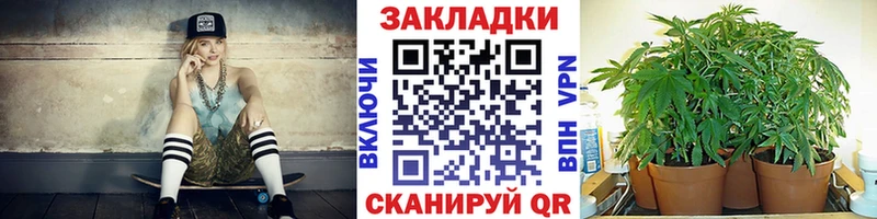 Купить наркотик Пятигорск Псилоцибиновые грибы Мефедрон Каннабис