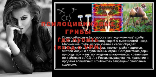 спайс Горняк