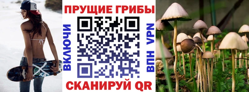 Псилоцибиновые грибы прущие грибы  купить наркотик  Пятигорск 