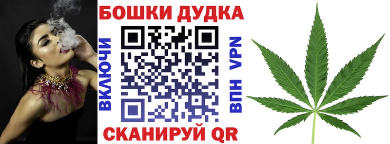Бошки Шишки планчик  Пятигорск 